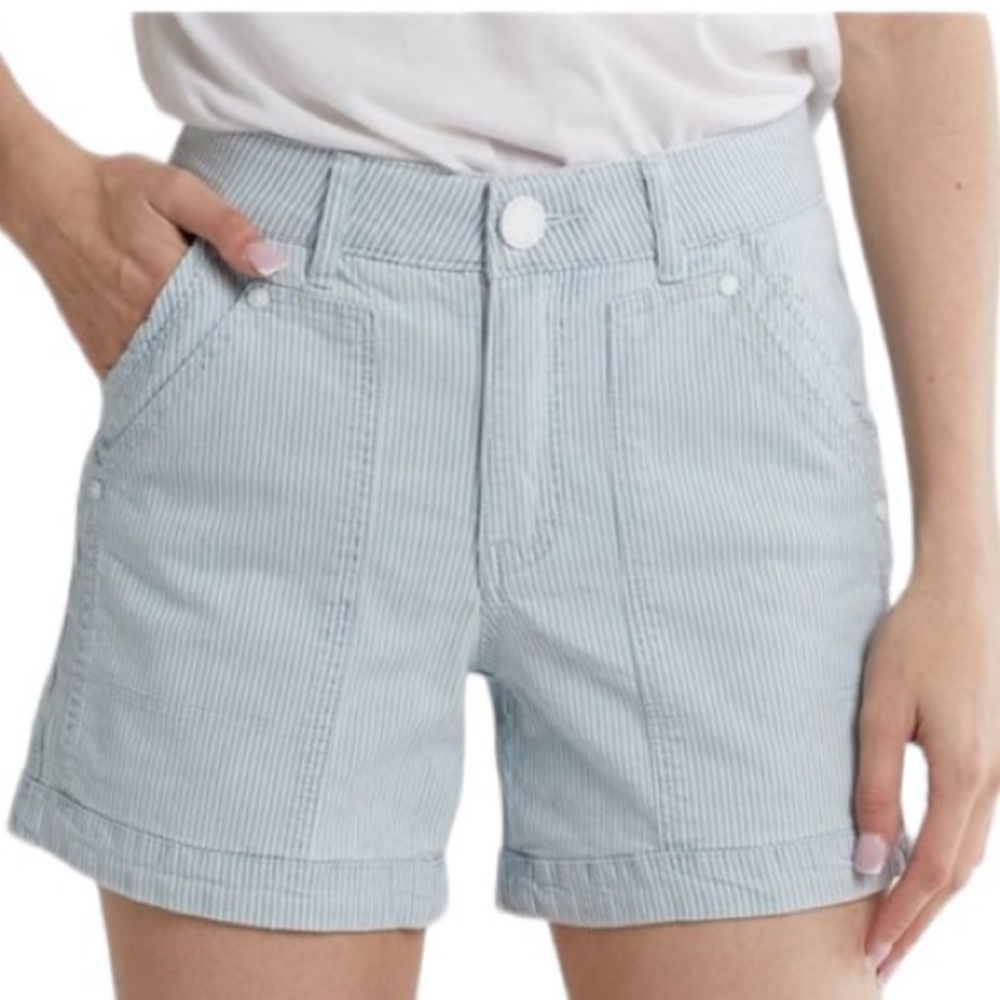 Democracy Powder Blue White Railroad Stripe Ab Solution Carpenter Short
